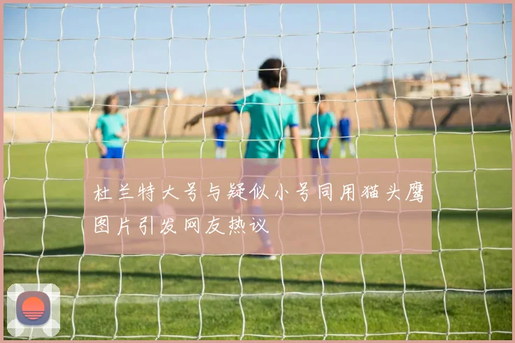 杜兰特大号与疑似小号同用猫头鹰图片引发网友热议