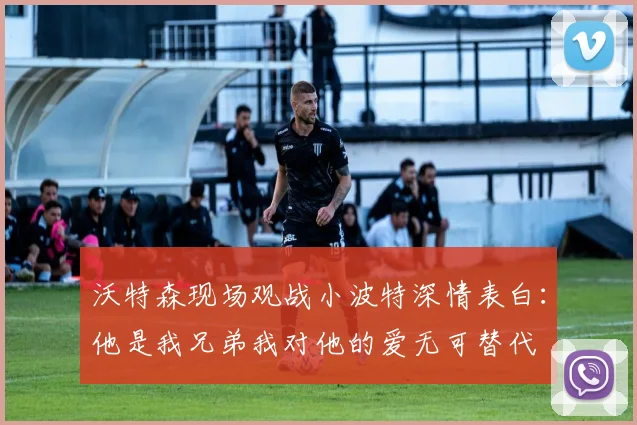 沃特森现场观战小波特深情表白：他是我兄弟我对他的爱无可替代